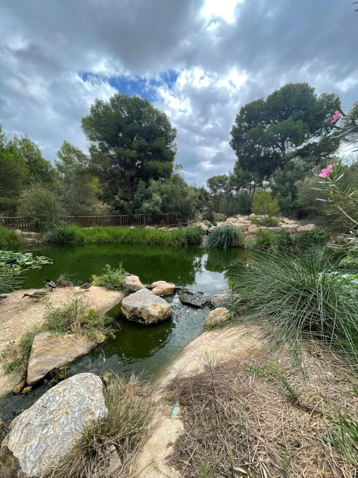 Casa Amarela Guesthouse, אלגורפה מראה חיצוני תמונה